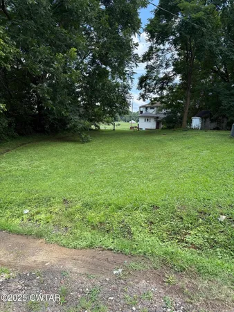 a view of a yard with a tree