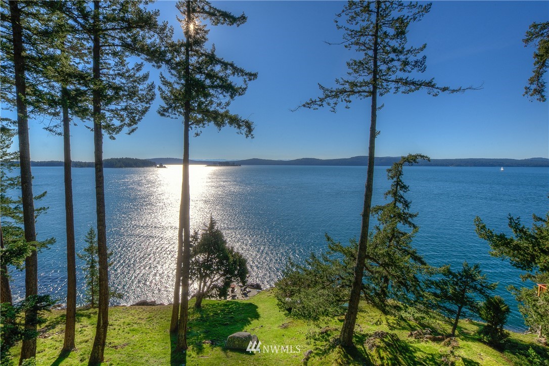 a view of a lake in the background