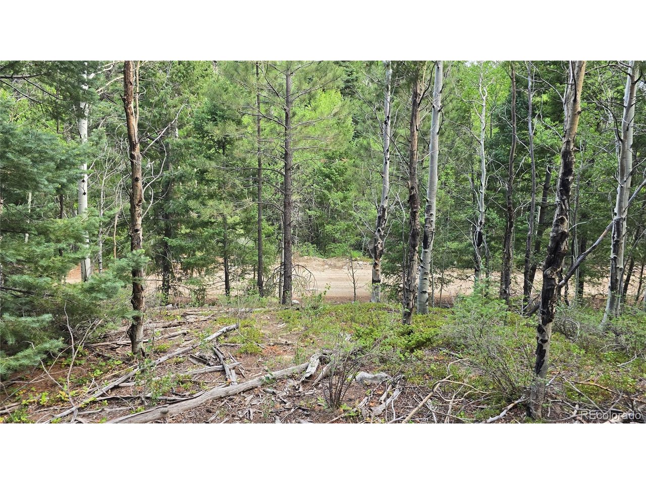 6474 Malcolm Road San Luis, CO 81152 - Photo 4 of 30