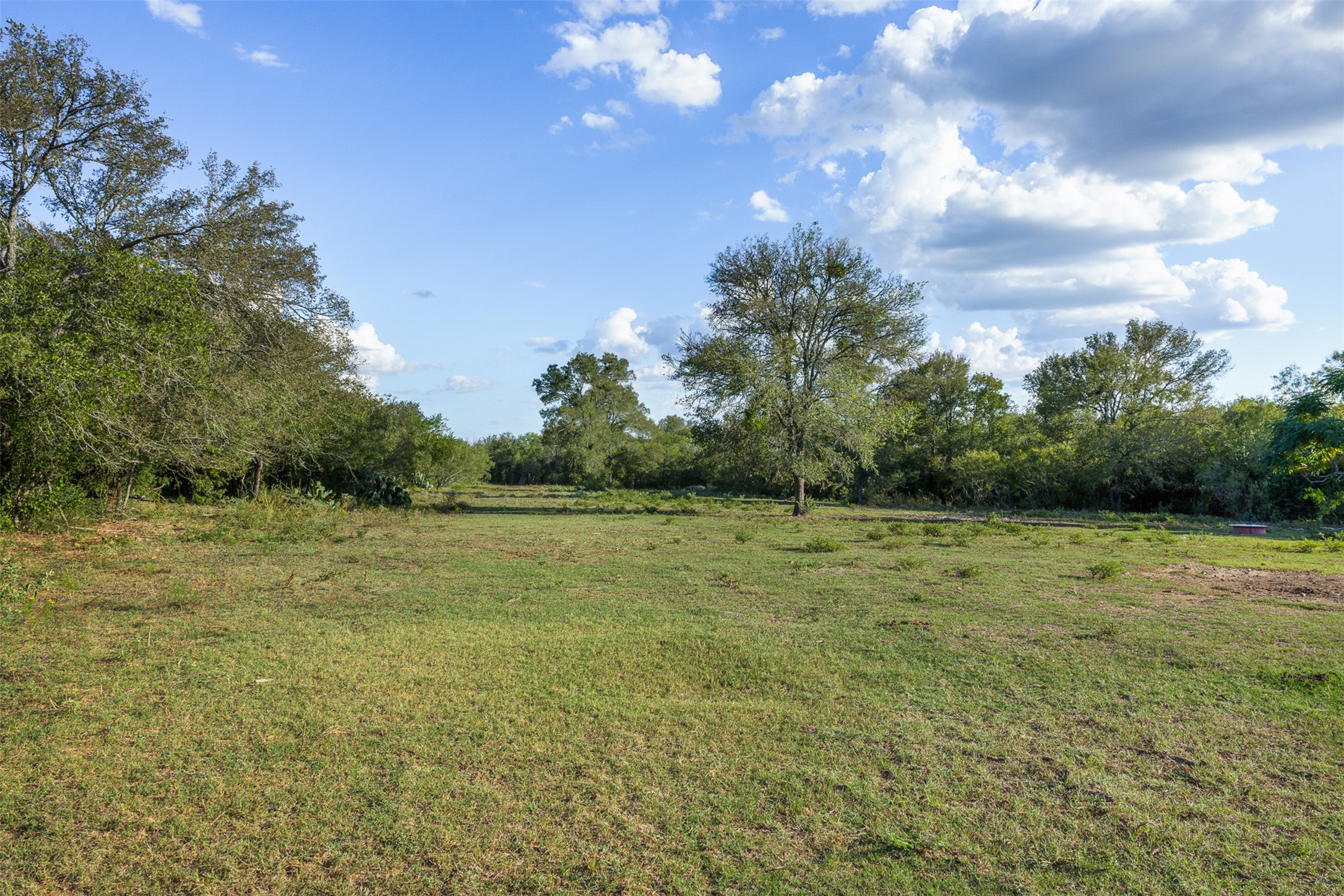 399 Seals Creek Road Lockhart, TX 78644 - Photo 5 of 40 View of grassy yard with a view of rural / pastoral area