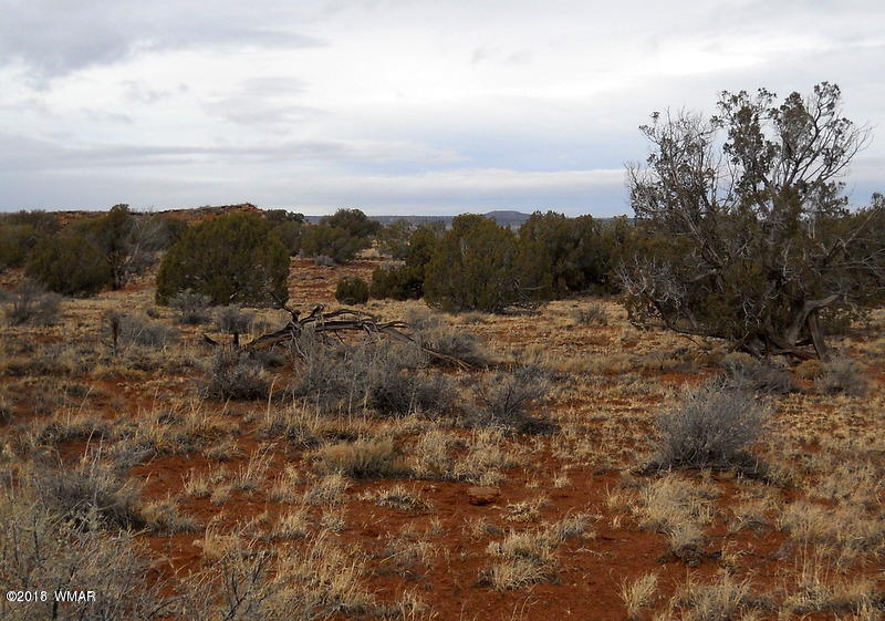 Lot 14 Sierra Highlands Ranch Snowflake, AZ 85937 - Photo 1 of 25