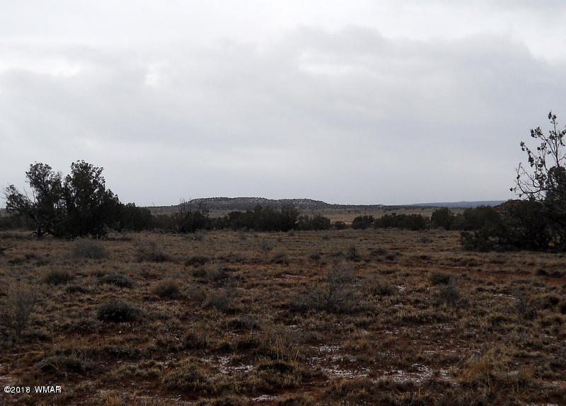 Lot 14 Sierra Highlands Ranch Snowflake, AZ 85937 - Photo 12 of 25