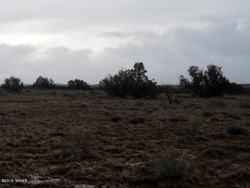 Lot 14 Sierra Highlands Ranch Snowflake, AZ 85937 - Photo 13 of 25