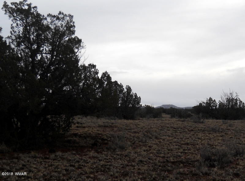 Lot 14 Sierra Highlands Ranch Snowflake, AZ 85937 - Photo 15 of 25