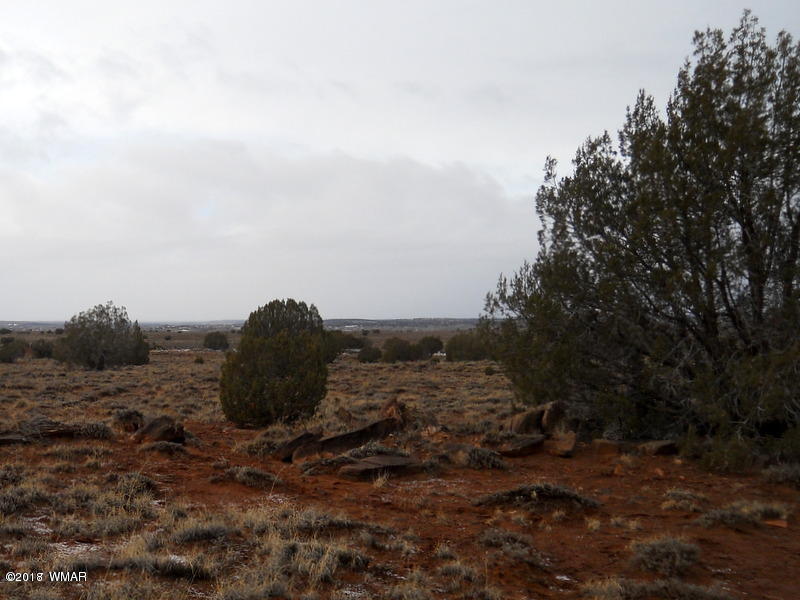 Lot 14 Sierra Highlands Ranch Snowflake, AZ 85937 - Photo 17 of 25