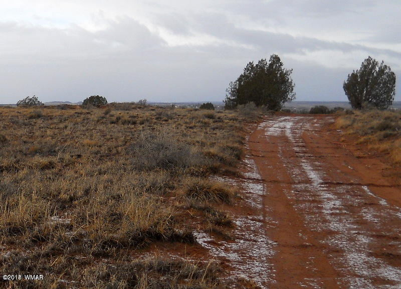 Lot 14 Sierra Highlands Ranch Snowflake, AZ 85937 - Photo 19 of 25