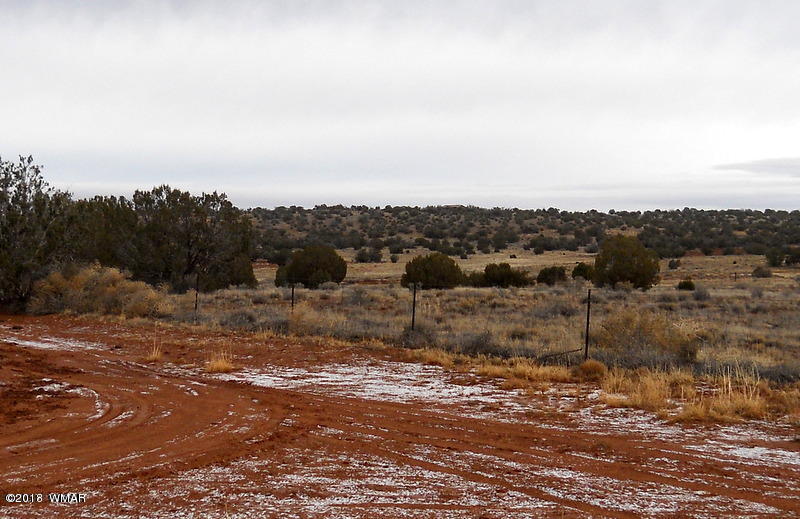 Lot 14 Sierra Highlands Ranch Snowflake, AZ 85937 - Photo 20 of 25