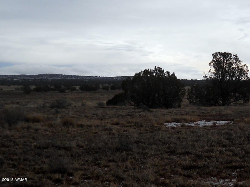 Lot 14 Sierra Highlands Ranch Snowflake, AZ 85937 - Photo 21 of 25