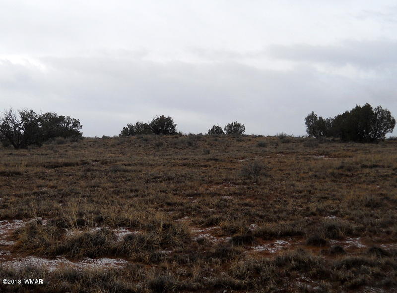 Lot 14 Sierra Highlands Ranch Snowflake, AZ 85937 - Photo 22 of 25