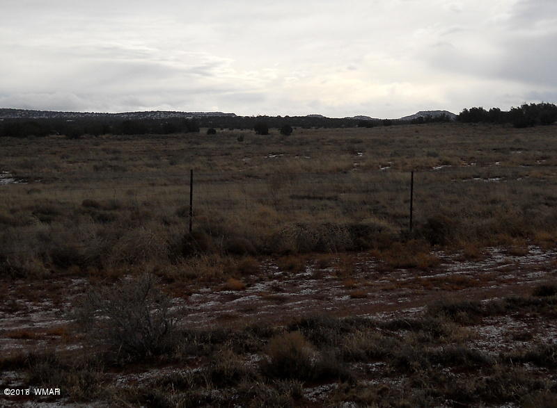 Lot 14 Sierra Highlands Ranch Snowflake, AZ 85937 - Photo 24 of 25