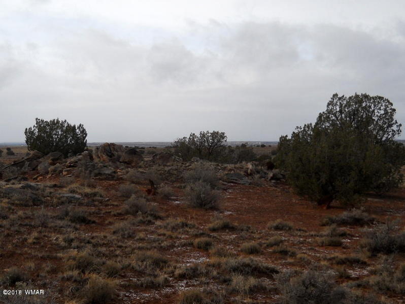Lot 14 Sierra Highlands Ranch Snowflake, AZ 85937 - Photo 4 of 25