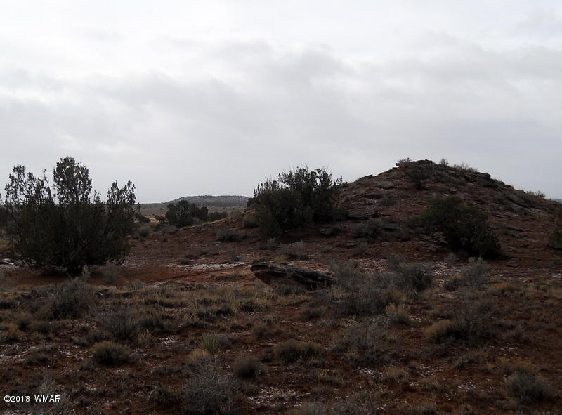 Lot 14 Sierra Highlands Ranch Snowflake, AZ 85937 - Photo 5 of 25