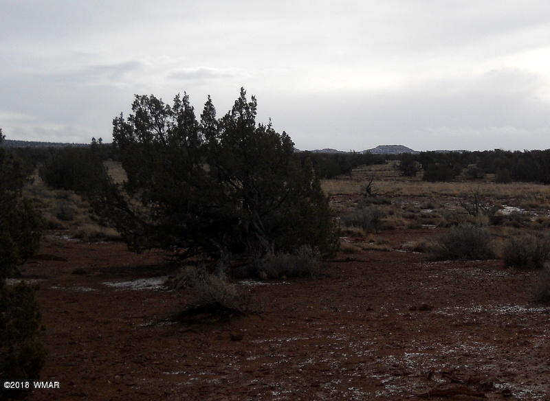 Lot 14 Sierra Highlands Ranch Snowflake, AZ 85937 - Photo 7 of 25