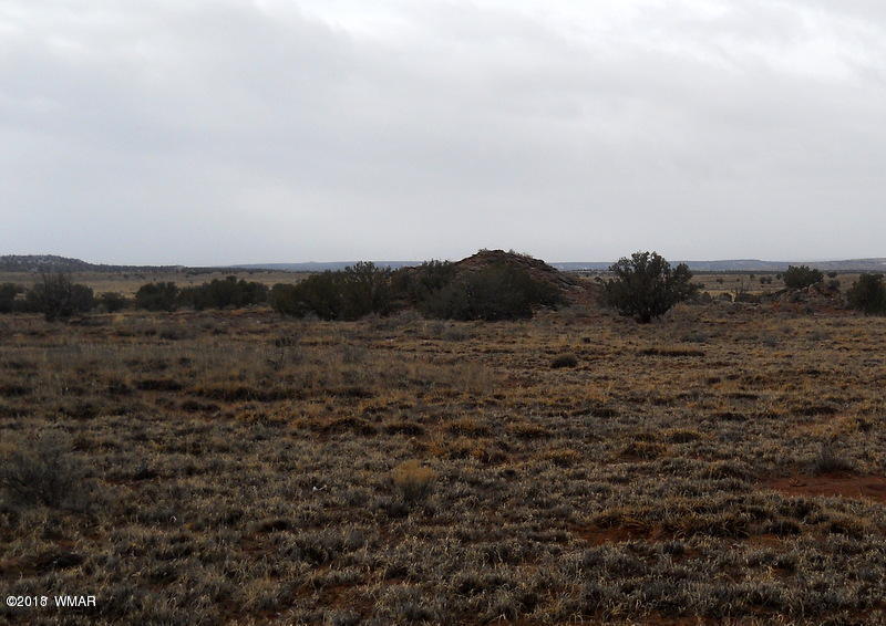 Lot 14 Sierra Highlands Ranch Snowflake, AZ 85937 - Photo 9 of 25