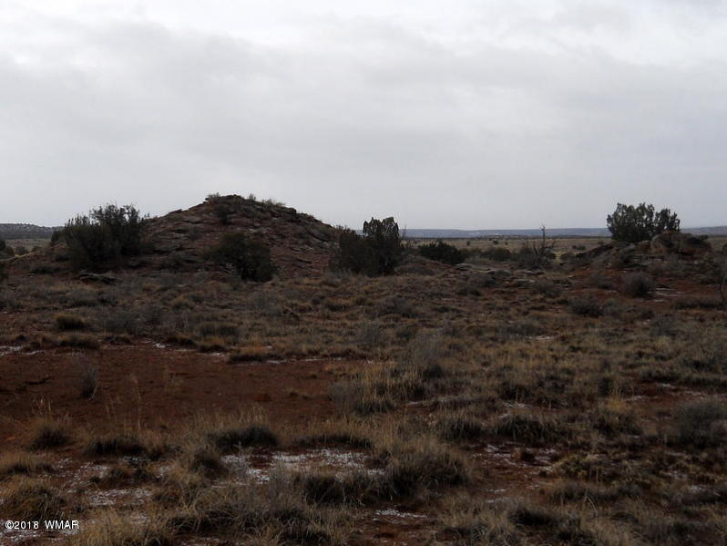 Lot 14 Sierra Highlands Ranch Snowflake, AZ 85937 - Photo 10 of 25