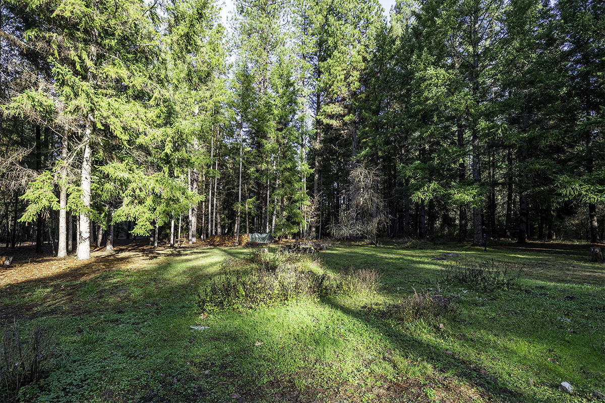 293 Davidson Road Williams, OR 97544 - Photo 9 of 37 DSC04628-HDR-Edit