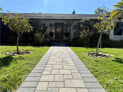 a view of a backyard with potted plants