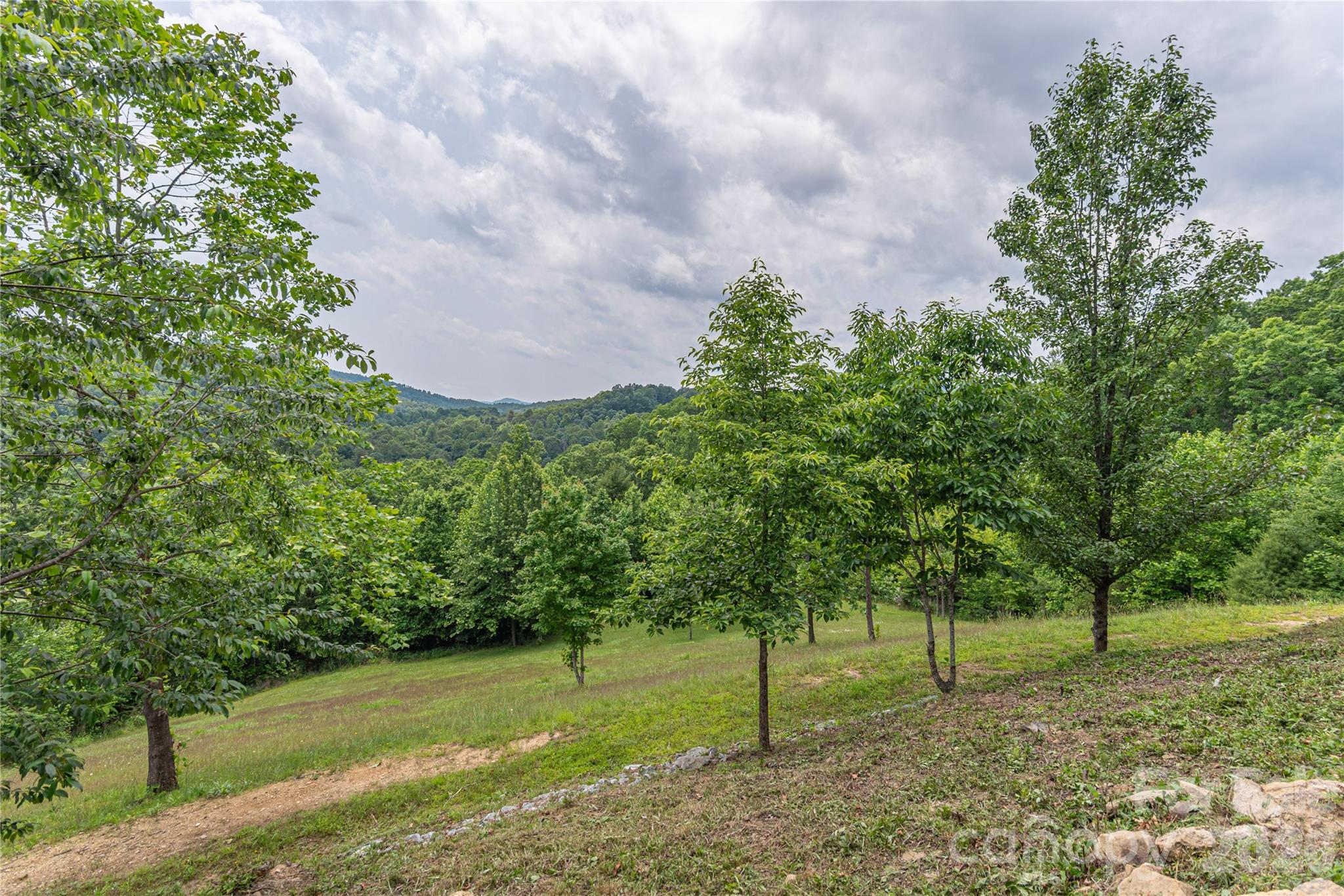 930 Big Raven Lane Saluda, NC 28773 - Photo 31 of 35 a backyard of a house with lots of green space