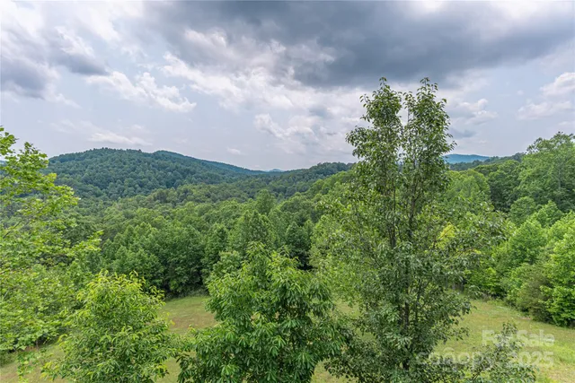 a view of a bunch of trees