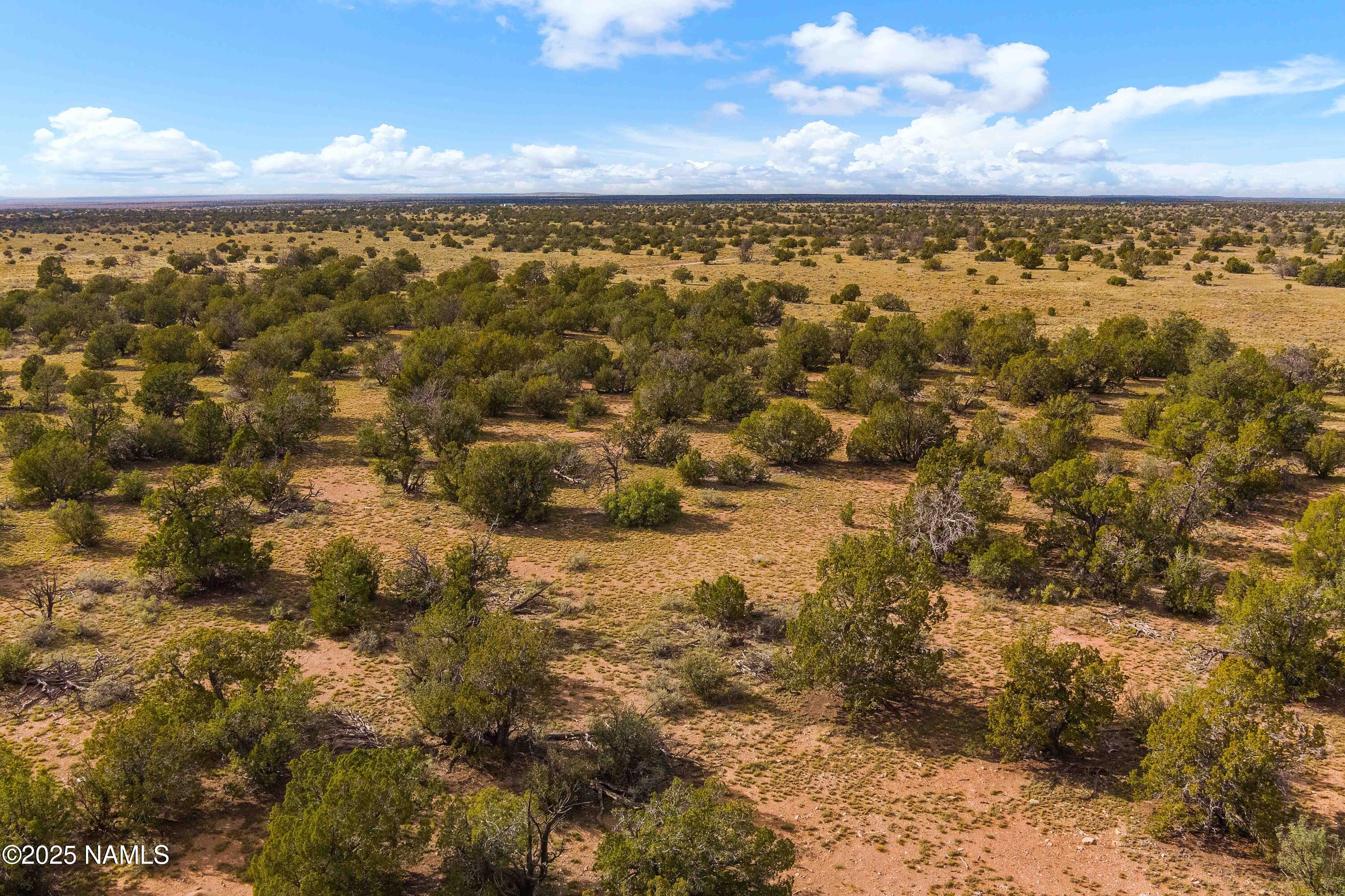 3697 East S Rim Ranch Road, Unit A Williams, AZ 86046 - Photo 12 of 47