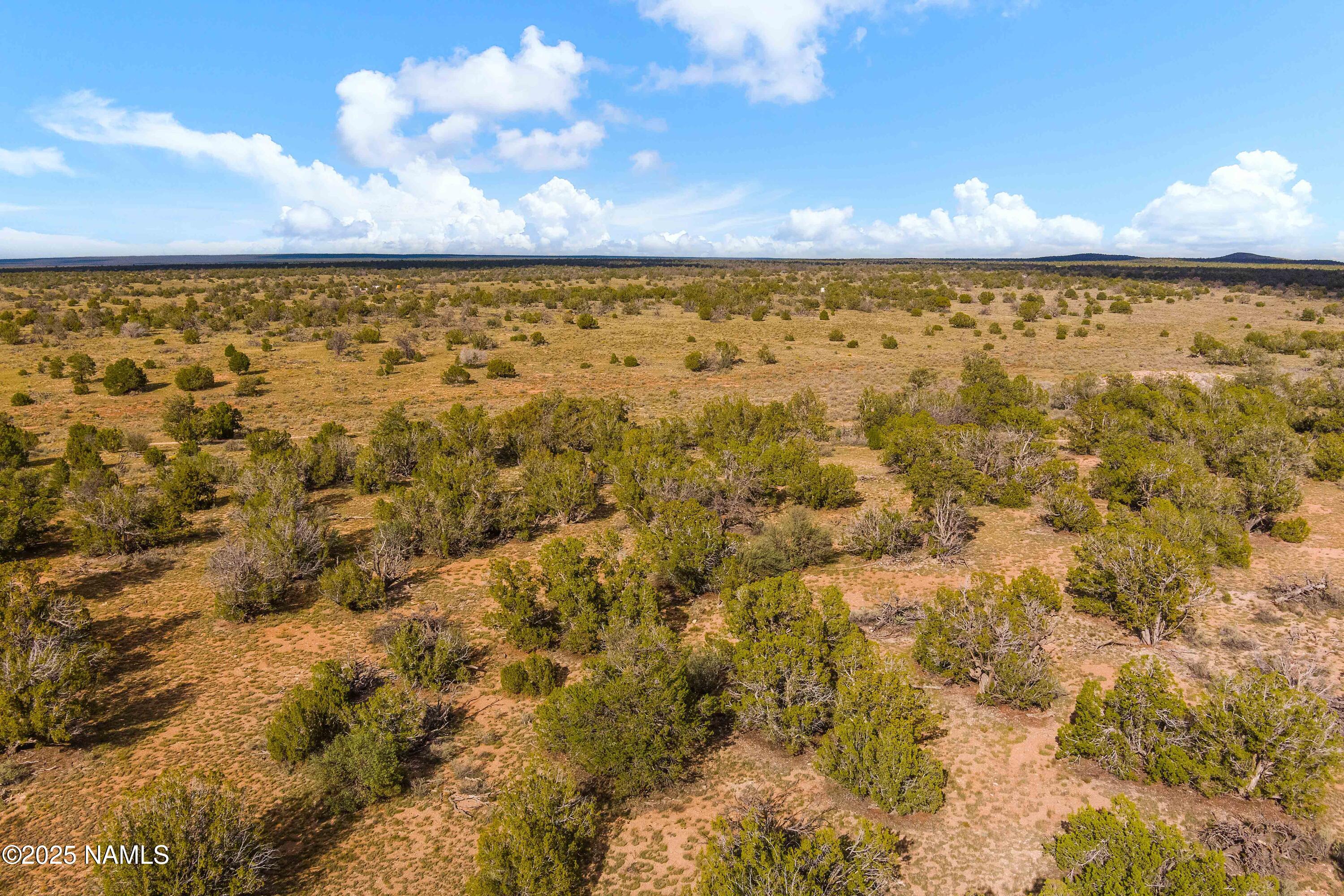 3697 East S Rim Ranch Road, Unit A Williams, AZ 86046 - Photo 13 of 47 a view of yard with wooden fence