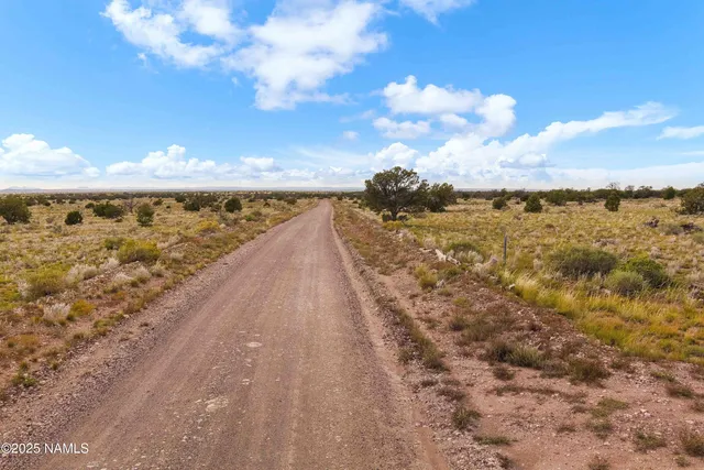 a view of city and ocean