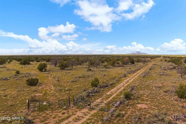 a view of city and ocean