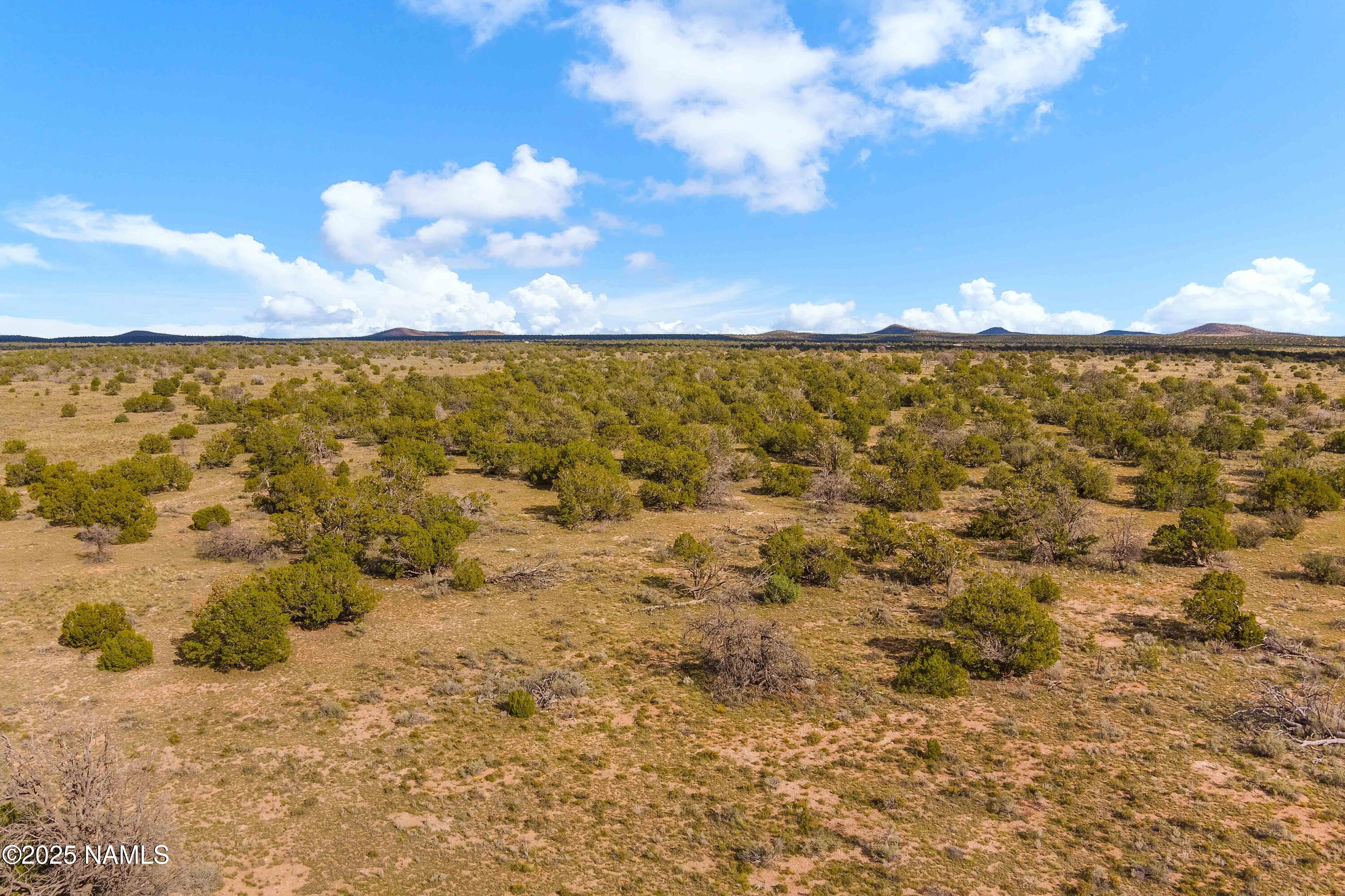 3697 East S Rim Ranch Road, Unit A Williams, AZ 86046 - Photo 4 of 47 a view of a city
