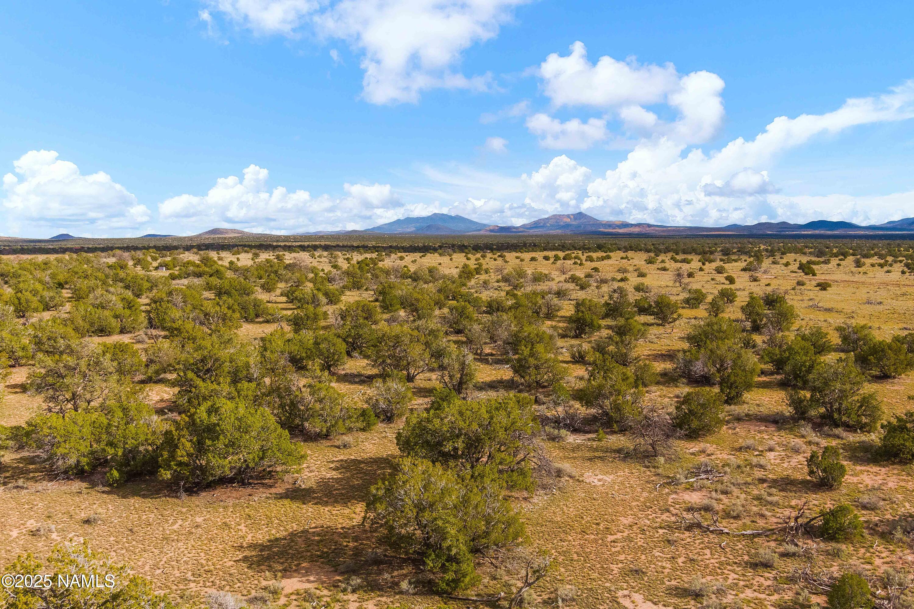 3697 East S Rim Ranch Road, Unit A Williams, AZ 86046 - Photo 6 of 47 a view of lake and mountain