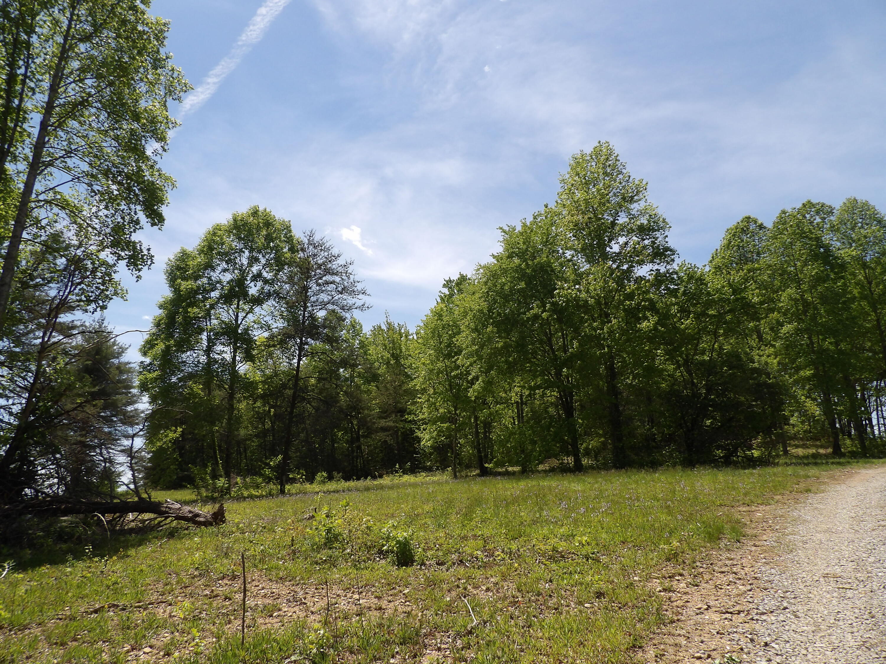 62 Manning Road Grandview, TN 37337 - Photo 3 of 70 100_5527