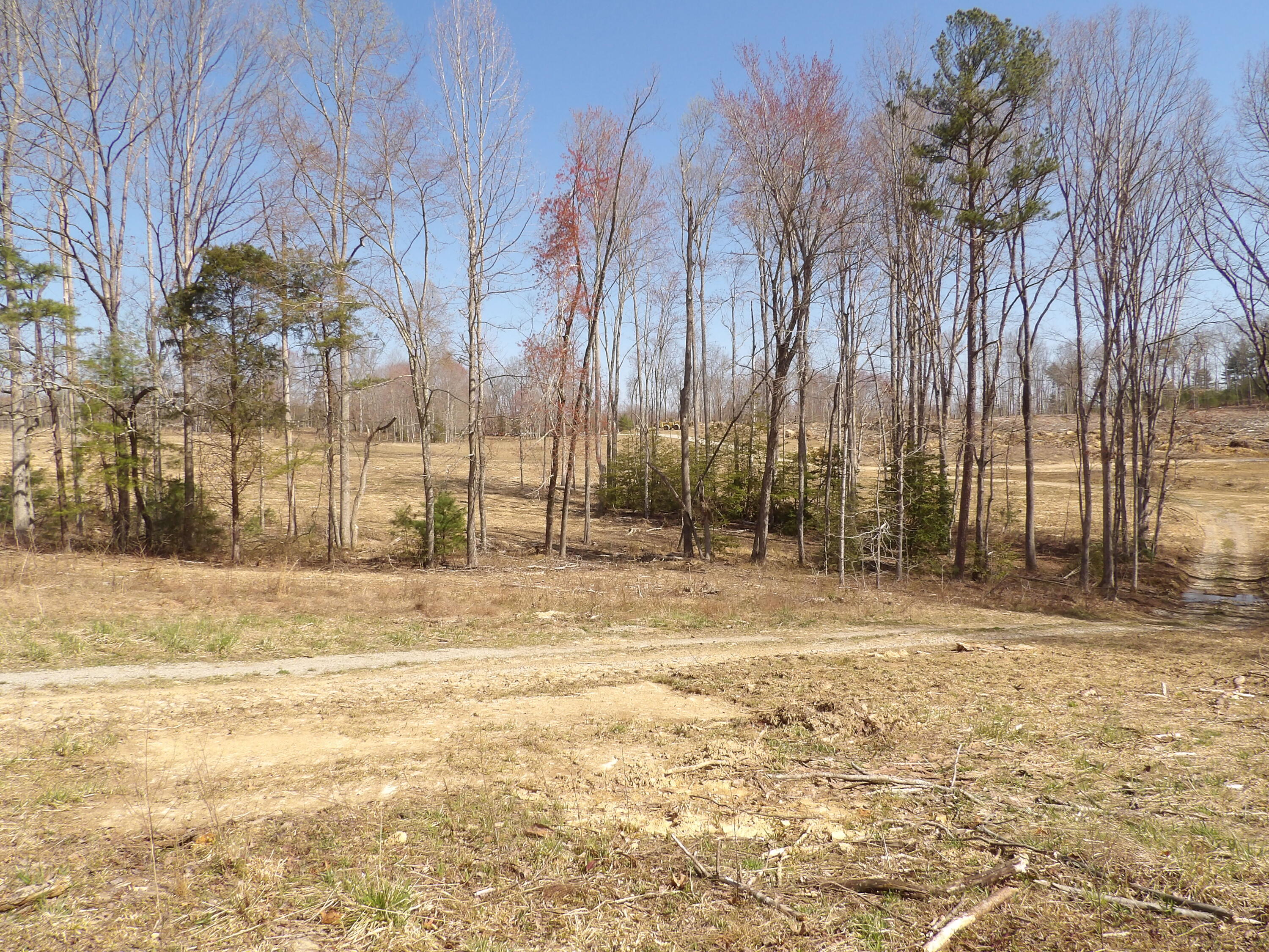 62 Manning Road Grandview, TN 37337 - Photo 38 of 70 100_0227
