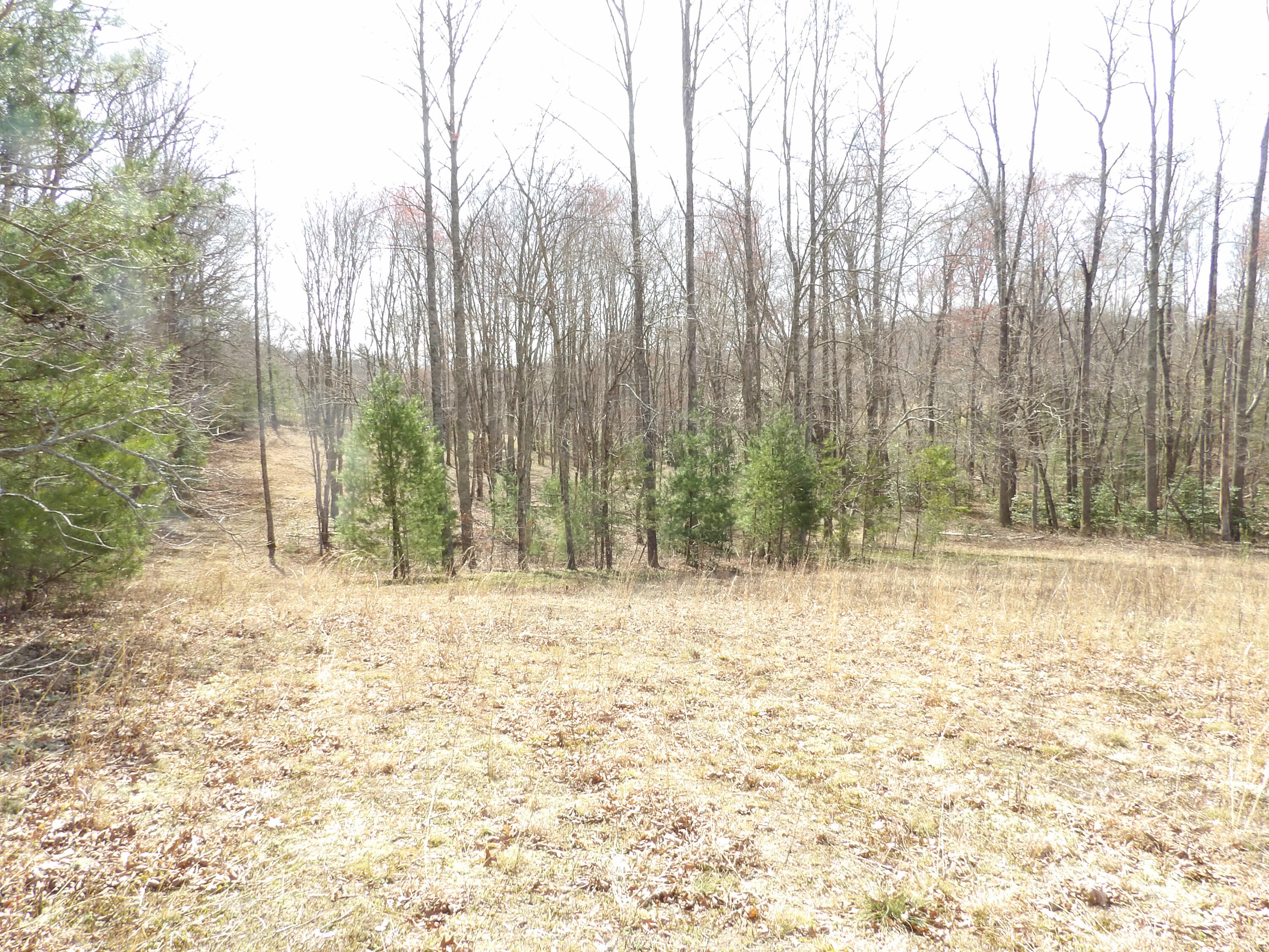 62 Manning Road Grandview, TN 37337 - Photo 60 of 70 100_0256