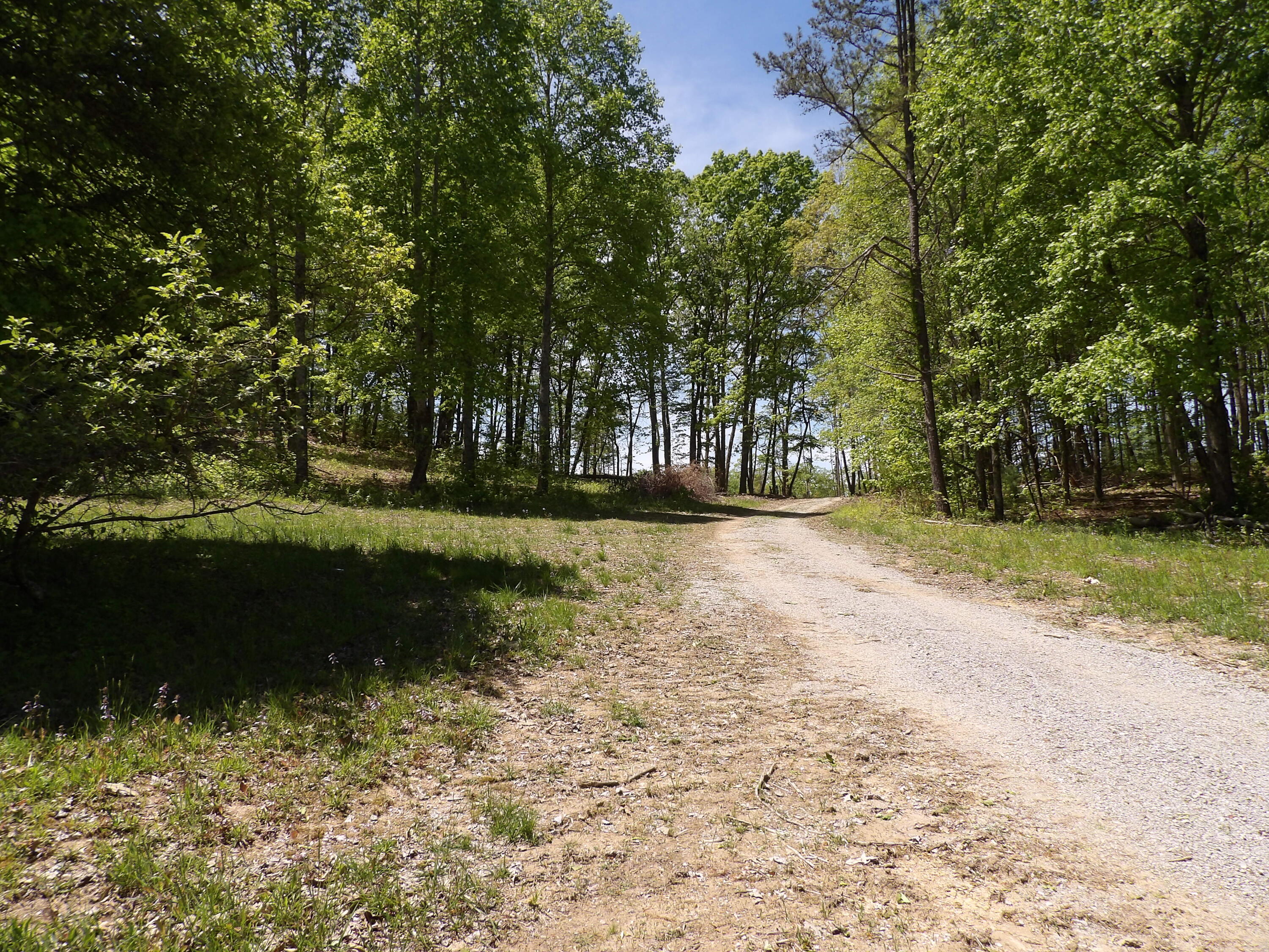 62 Manning Road Grandview, TN 37337 - Photo 8 of 70 100_5514