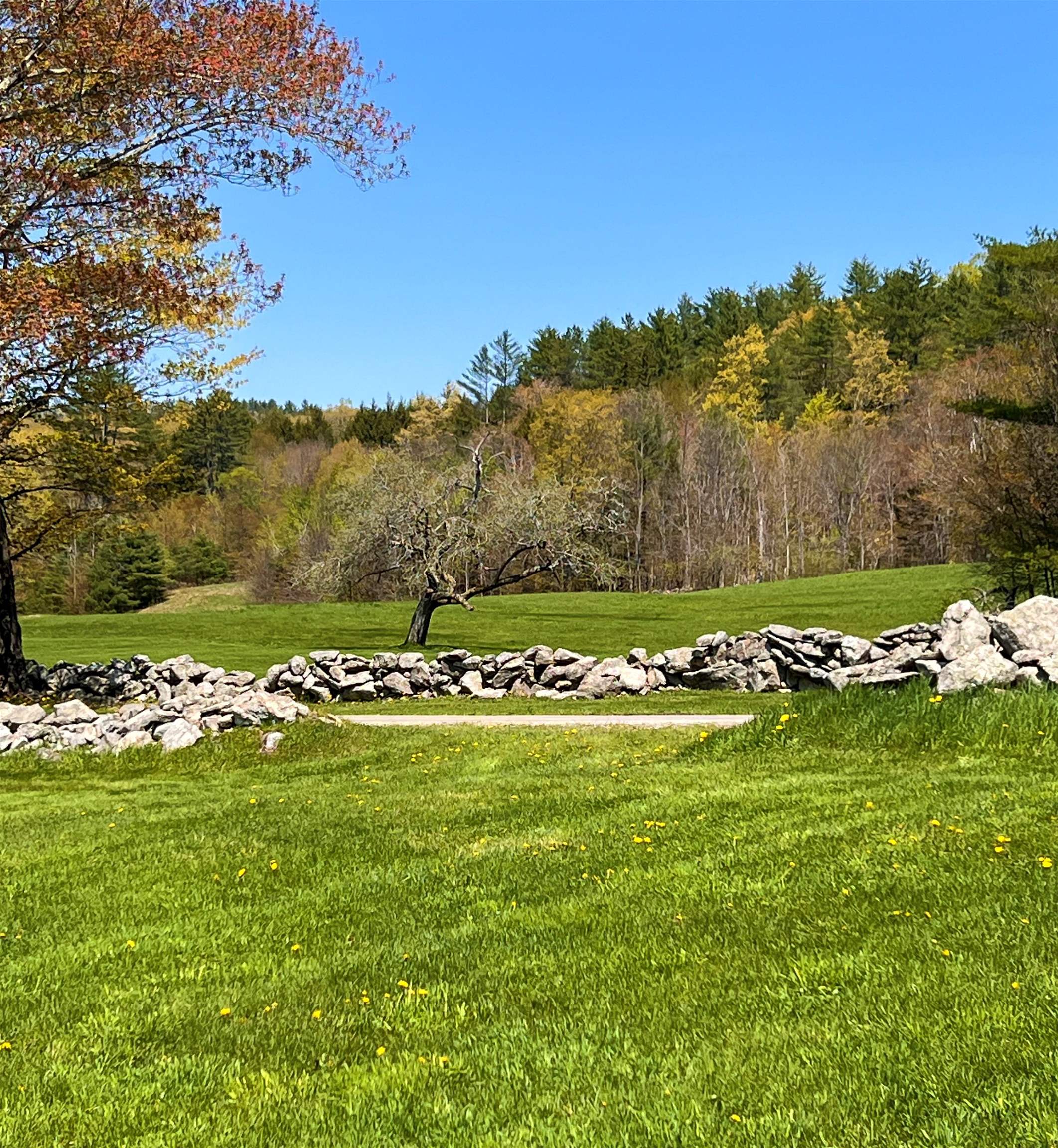 159 E Road Cavendish, VT 05142 - Photo 35 of 40