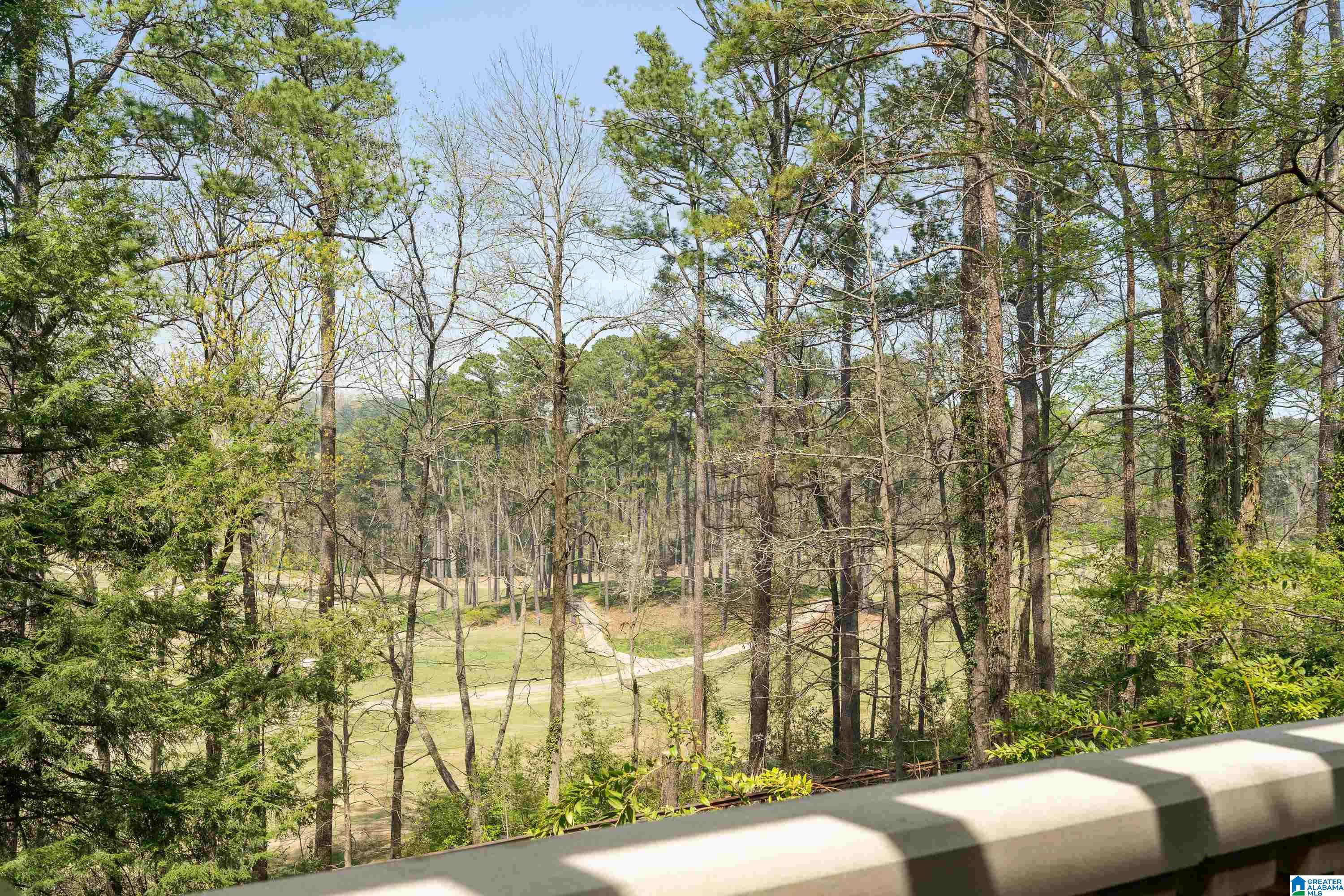 3409 Cherokee Road Birmingham, AL 35223 - Photo 4 of 79