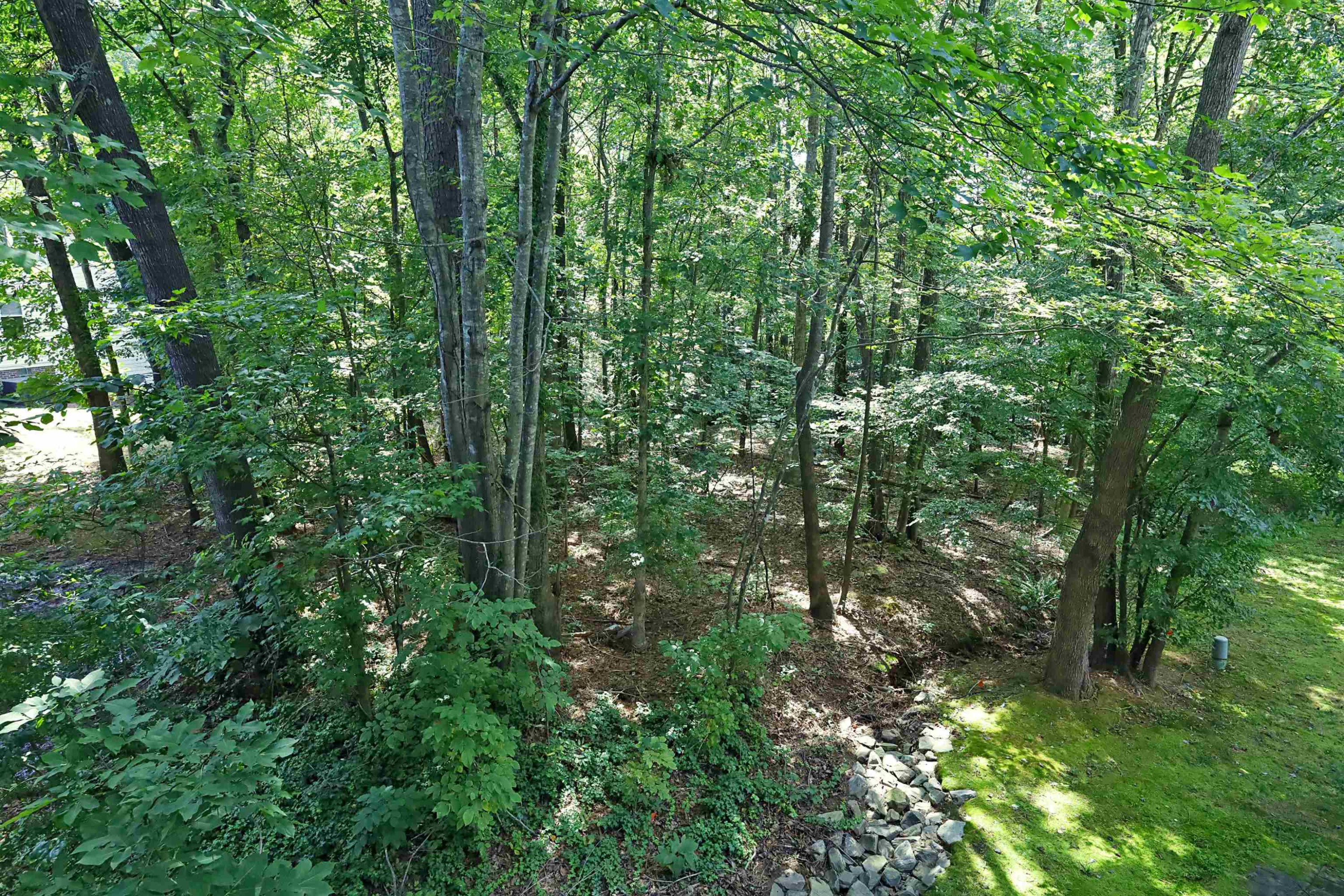 316 Vinca Circle Cary, NC 27513 - Photo 38 of 44 Photo 38