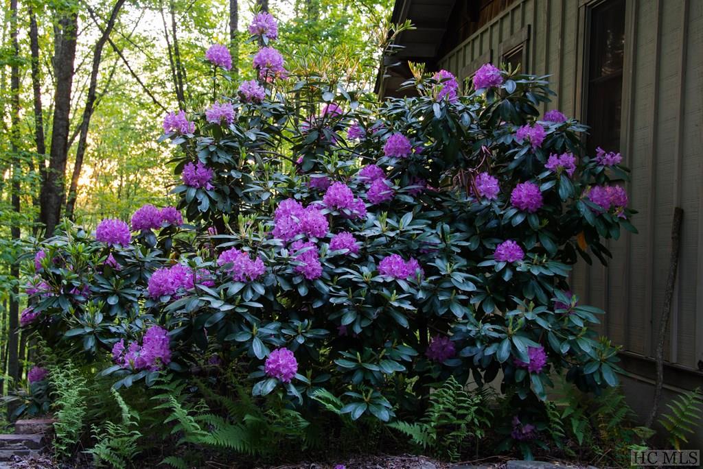 354 Queen Mountain Road Highlands, NC 28741 - Photo 8 of 13 Gallery Image 8