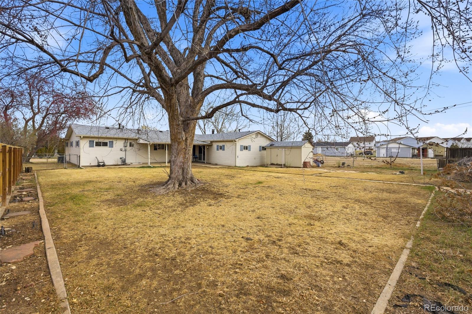 308 Fifth Street Dacono, CO 80514 - Photo 22 of 29 a large tree in the garden of the house