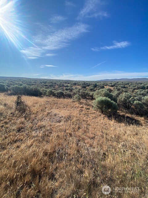 0 Sunset Road Ellensburg, WA 98926 - Photo 11 of 17 Gallery Image 11