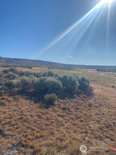 0 Sunset Road Ellensburg, WA 98926 - Photo 3 of 17 Gallery Image 3