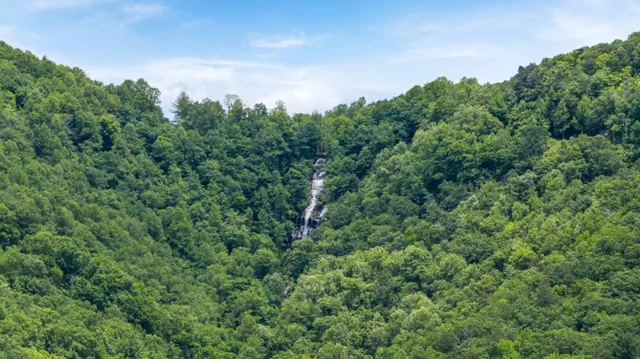 $379,990 | 106 Hughes Pl Drive, Unit 53, Dawsonville, GA 30534