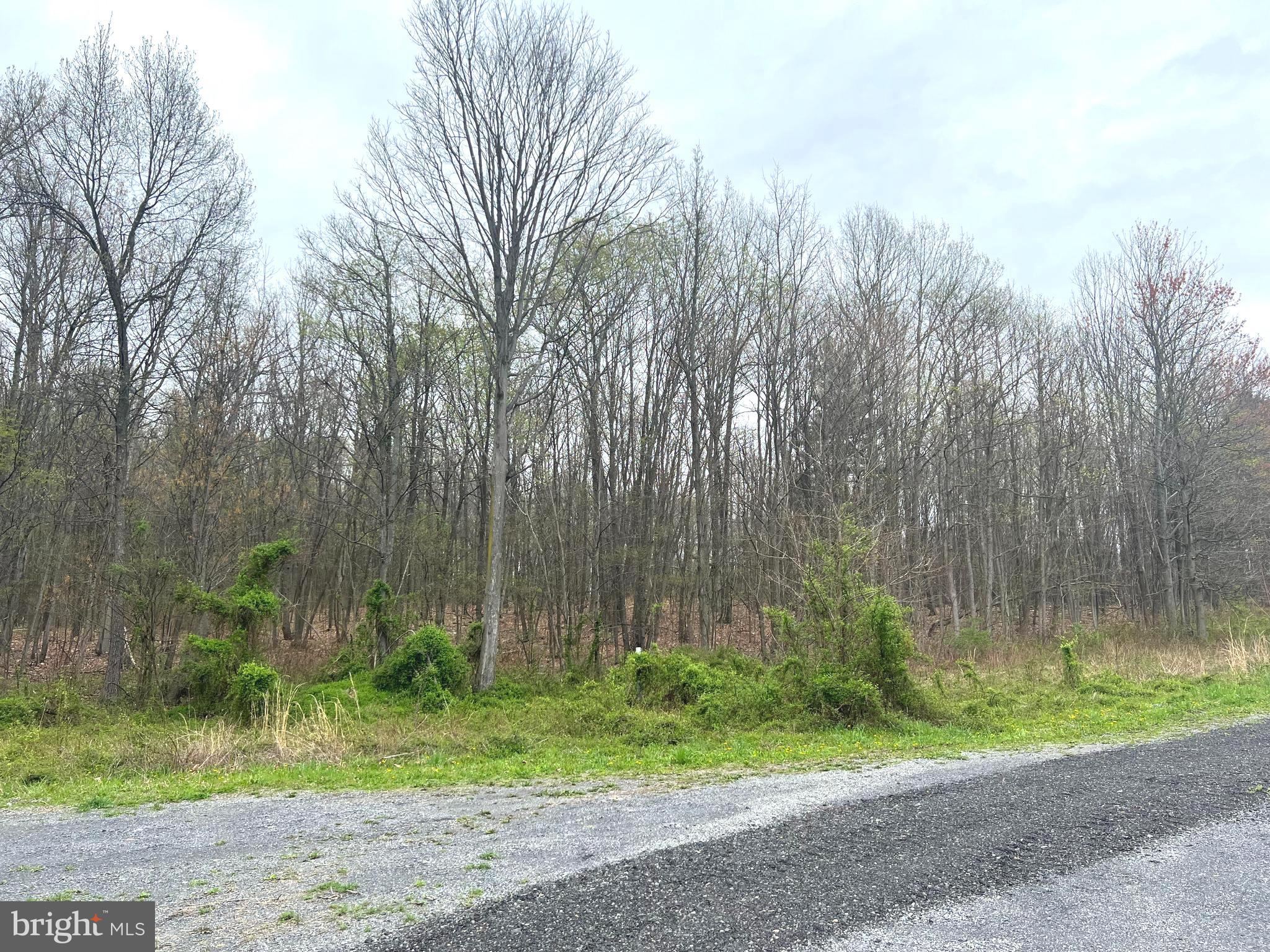 Lot # Ridge Way Drive Bedford, PA 15522 - Photo 2 of 3