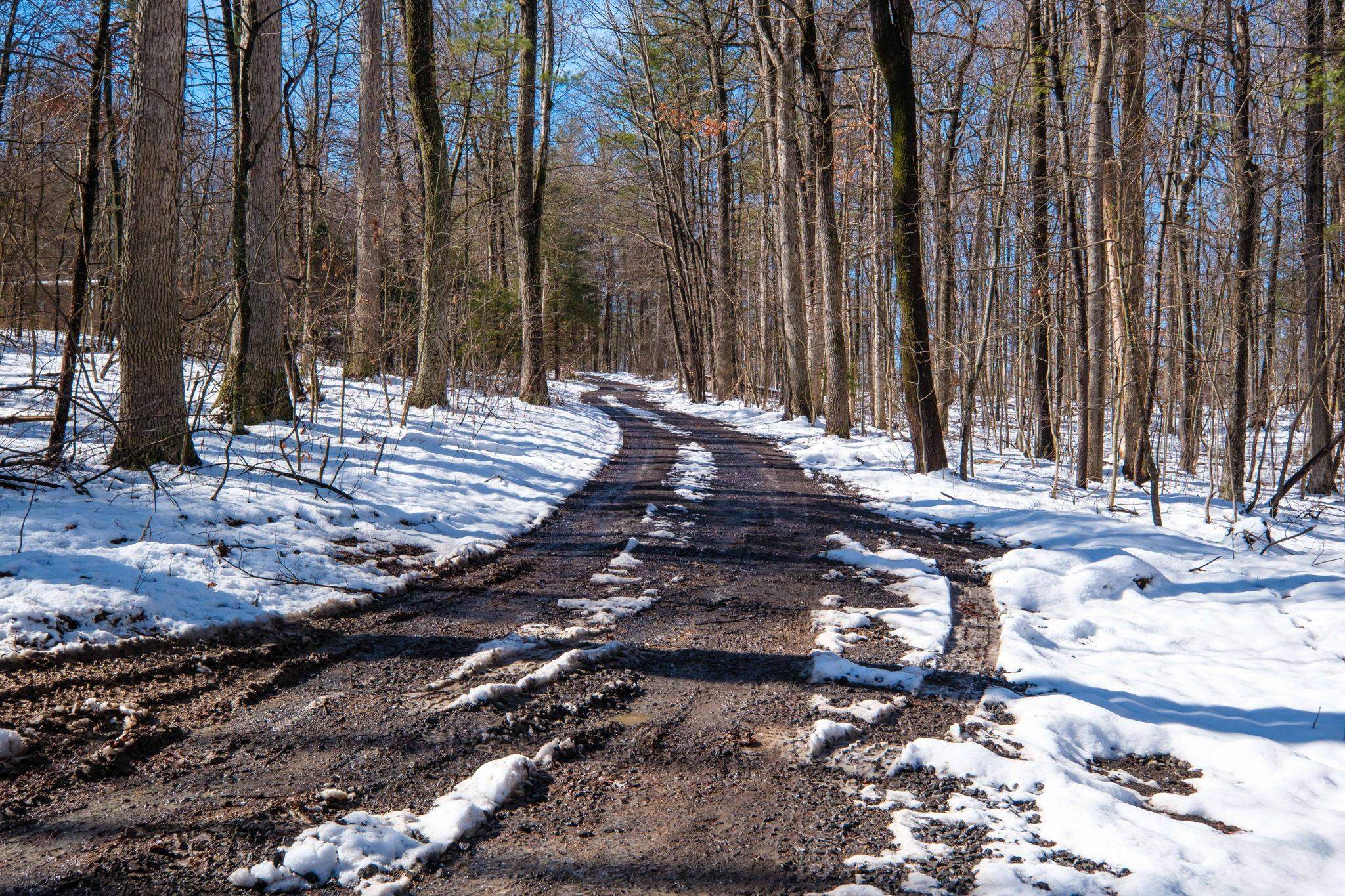 Tbd Lacey Spring Road Broadway, VA 22815 - Photo 5 of 9 Gallery Image 5