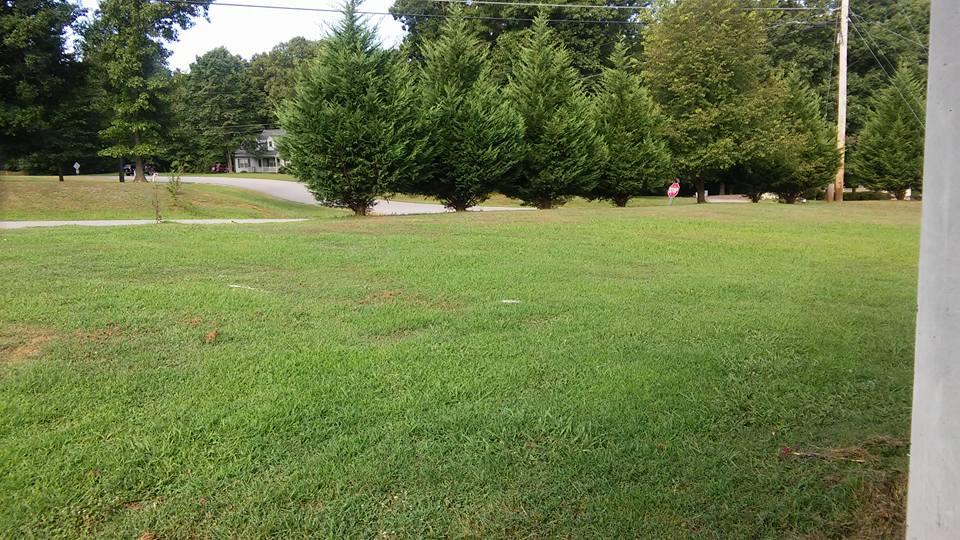 1001 Anderson Road Dickson, TN 37055 - Photo 2 of 9 a view of a field with a tree