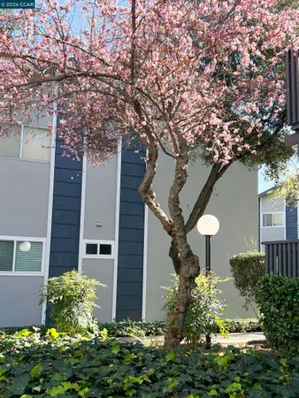 a front view of a house with a yard and plants