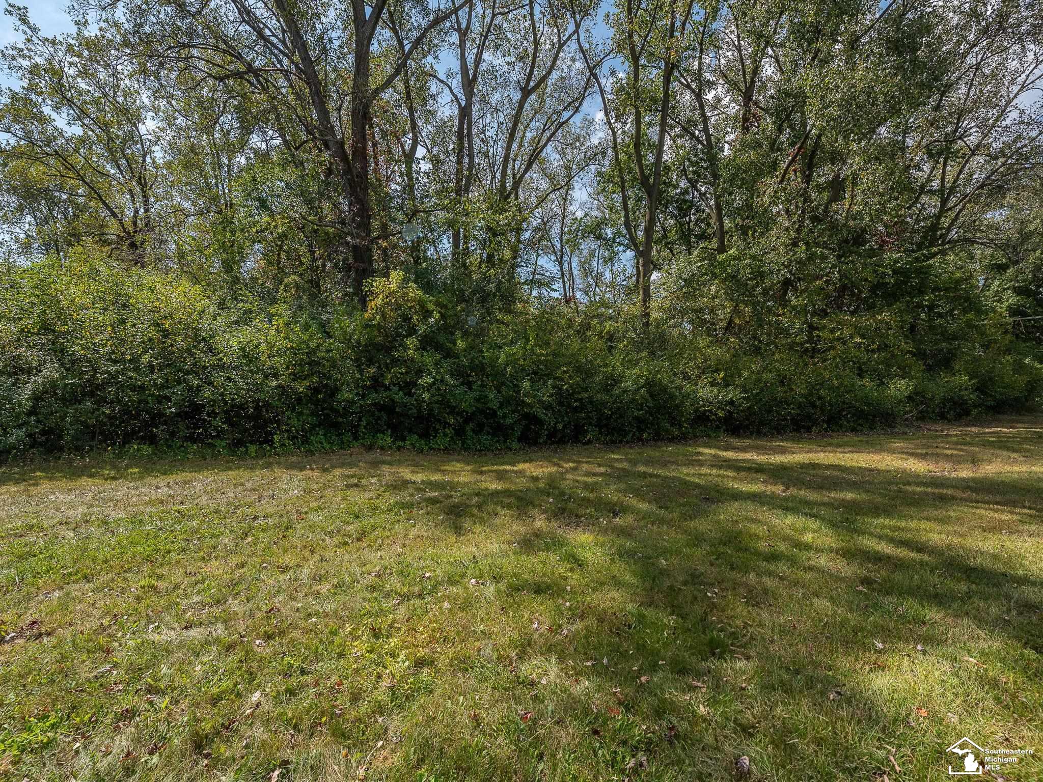 0 Blue Bush Road Monroe, MI 48162 - Photo 5 of 15
