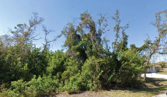 a view of a backyard of a house
