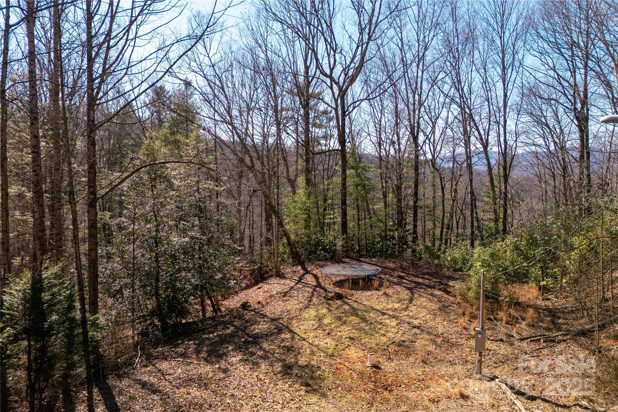 396 Patton Mountain Road Pisgah Forest, NC 28768 - Photo 2 of 11 Gallery Image 2