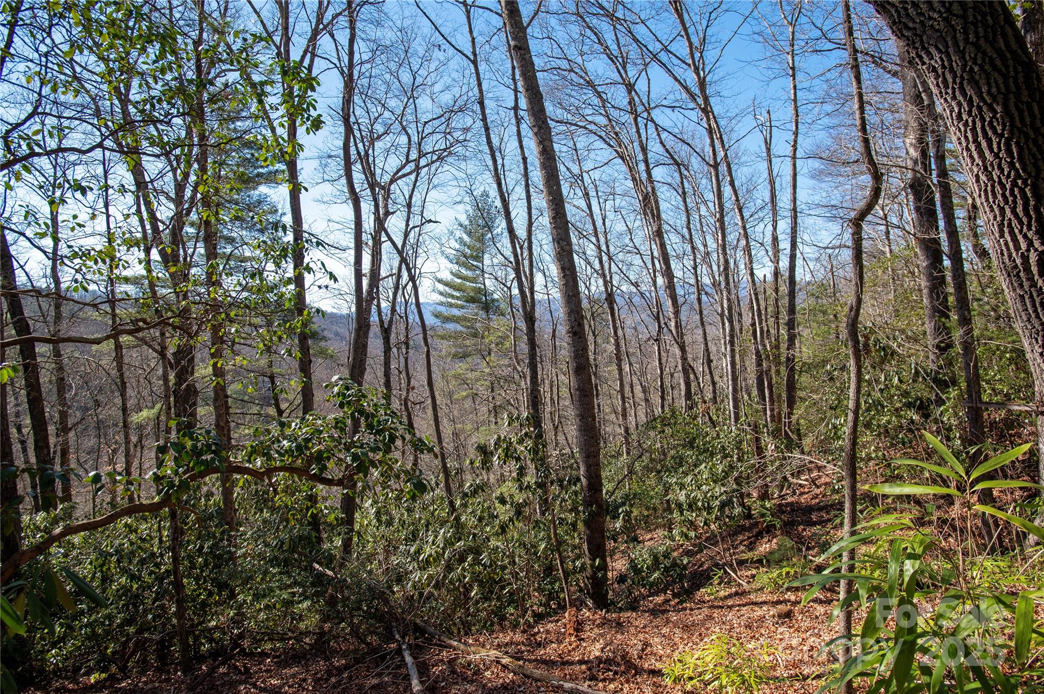 396 Patton Mountain Road Pisgah Forest, NC 28768 - Photo 3 of 11 Gallery Image 3