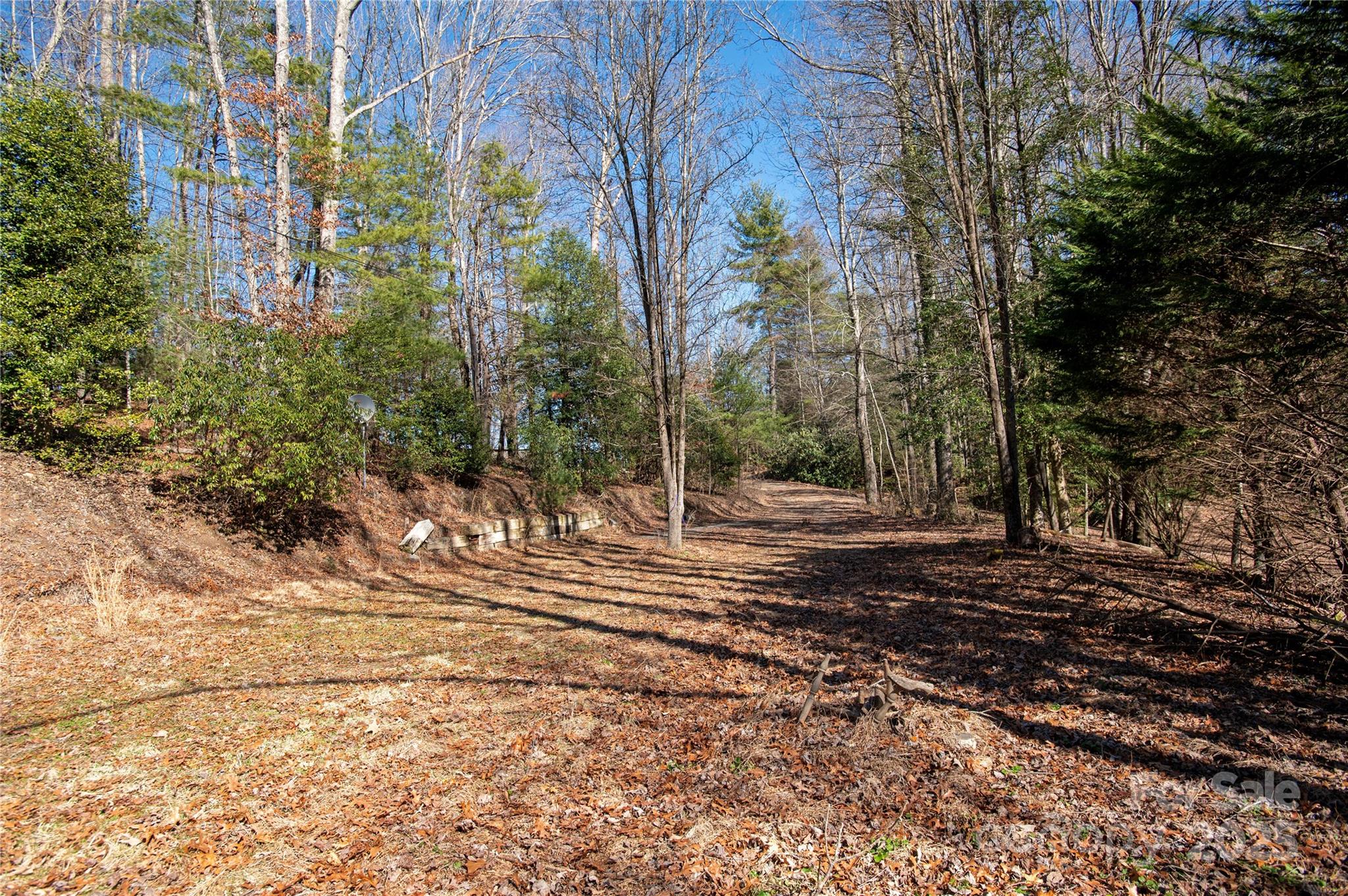 396 Patton Mountain Road Pisgah Forest, NC 28768 - Photo 4 of 11 Gallery Image 4
